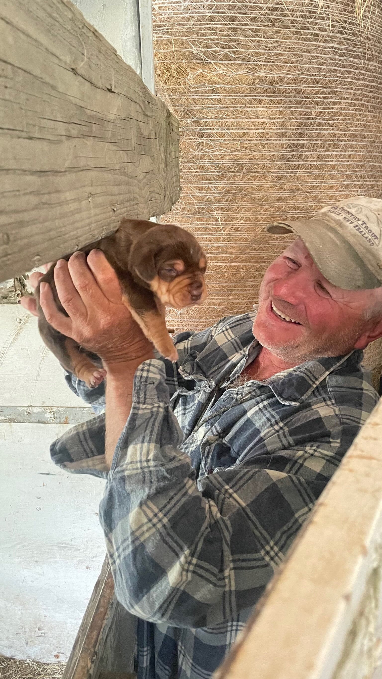 Smiling older man in a plaid shirt and cap holds up a small brown puppy inside a barn with hay bales in the background